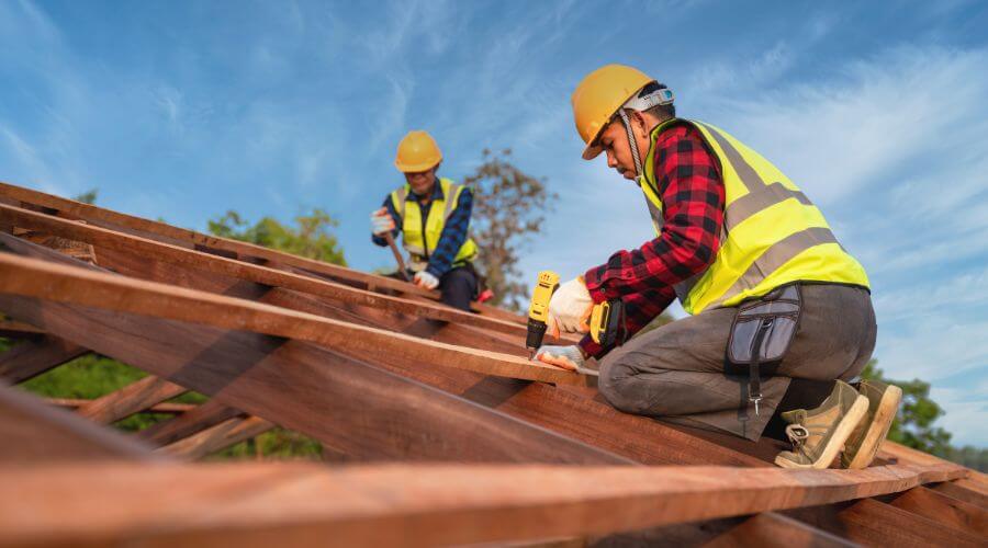 Professional gutter cleaning in Williston, TN